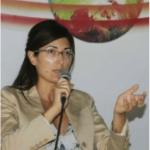 Bramerini a greenreport fa il punto su centrali Enel e rigassificatori: no a carbone e biomasse e la Edison è sparita