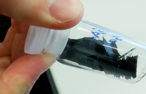 Elettrodi in vetro per le batterie del futuro