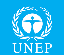UNEP, andamento disomogeneo per gli investimenti in geotermia e altre rinnovabili