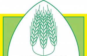 Agricoltura: SOS siccità