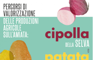 Cipolla della Selva e patata delle Macchie: un convegno sui percorsi di valorizzazione